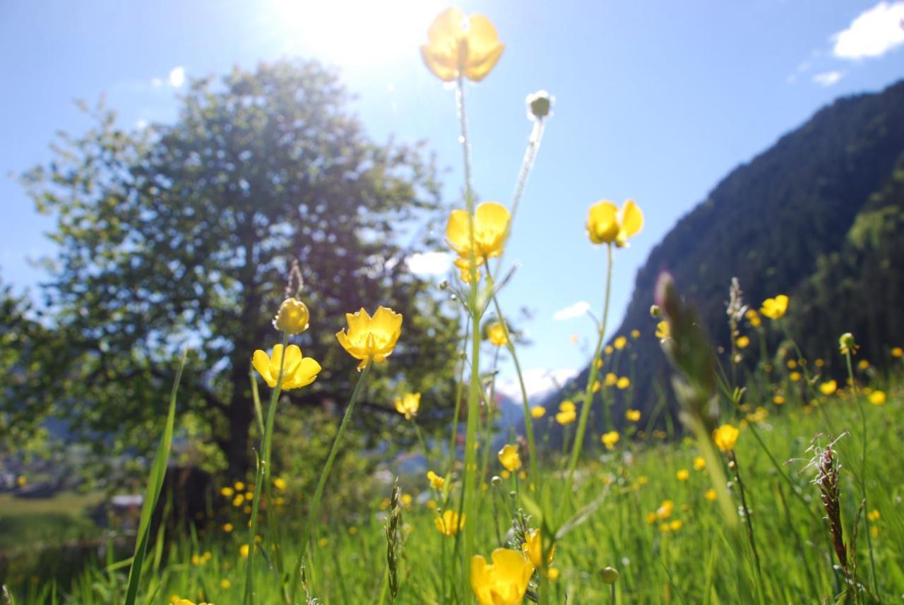 Appartamento Haus Galgenul Sankt Gallenkirch Esterno foto